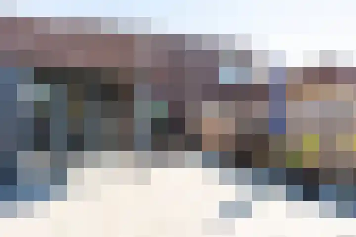 Vesta 9 Born thumbnail 31