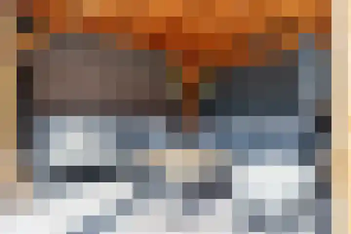 Vesta 9 Born thumbnail 32