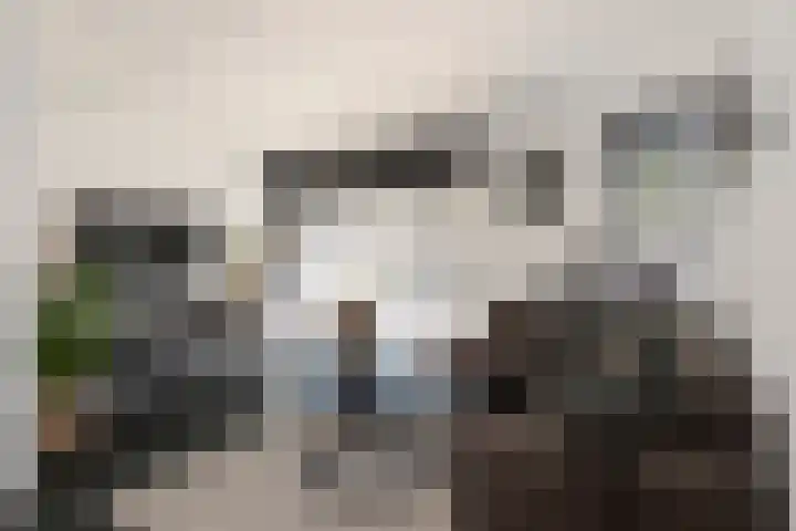 Vesta 9 Born thumbnail 8