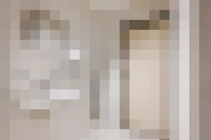 Vestaplein 20 Wormerveer thumbnail 26