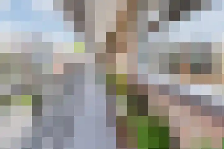 Vestaplein 20 Wormerveer thumbnail 7