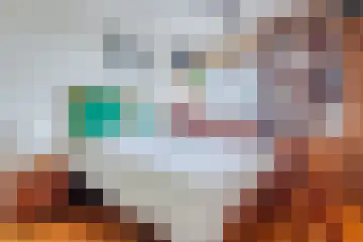 Vestaplein 23 Wormerveer thumbnail 17
