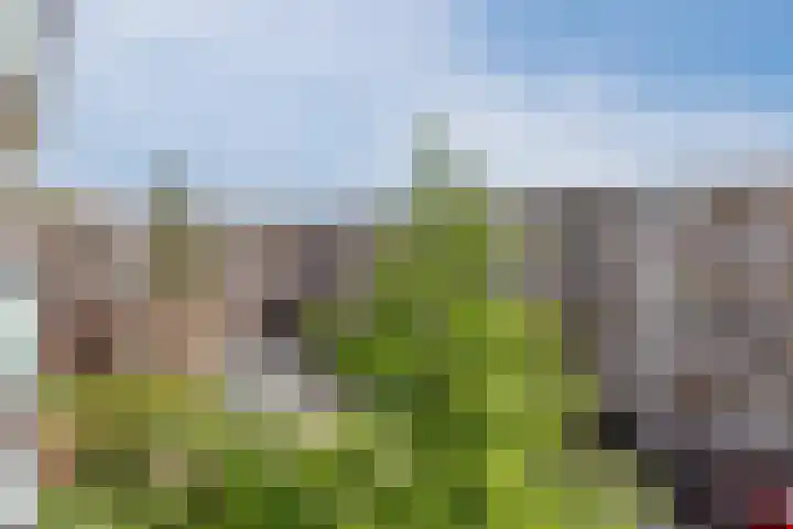 Vestaplein 23 Wormerveer thumbnail 26