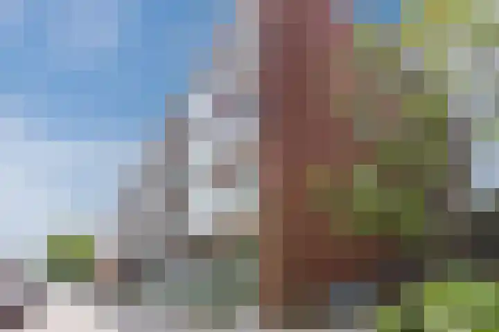 Vestaplein 23 Wormerveer thumbnail 30