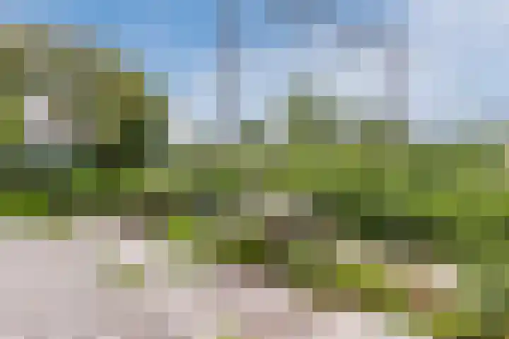 Vestaplein 23 Wormerveer thumbnail 32