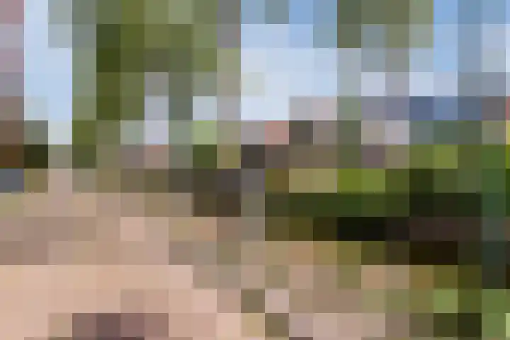 Vestaplein 23 Wormerveer thumbnail 33