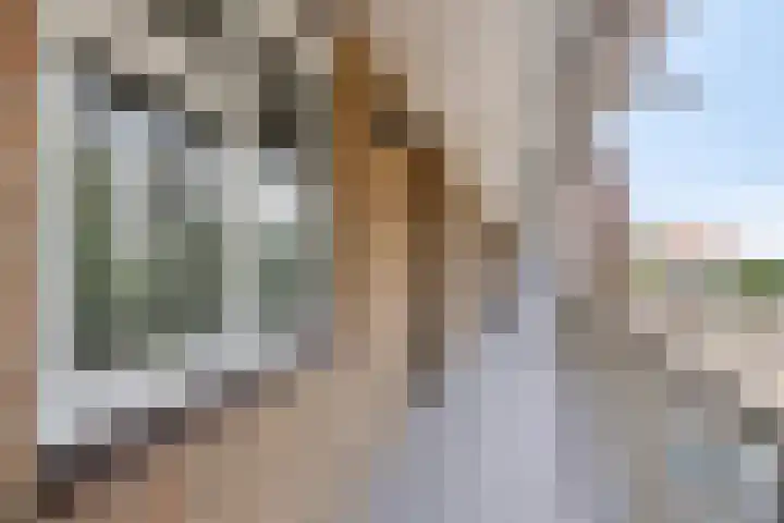 Vestaplein 55 Wormerveer thumbnail 5