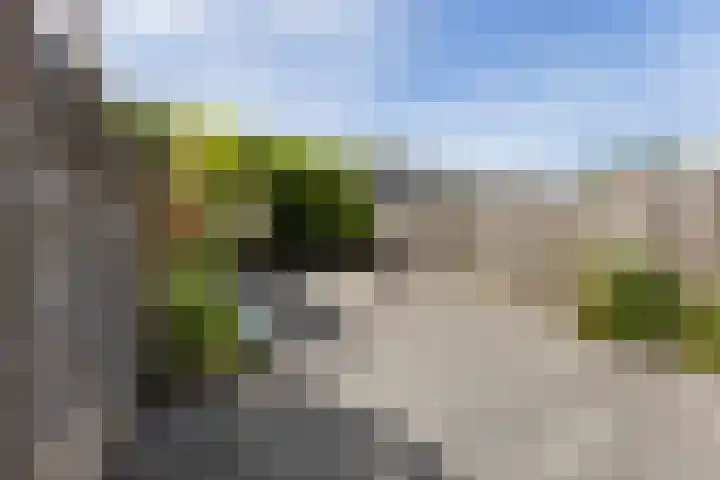 Vestdijkgaarde 43 Deventer thumbnail 13