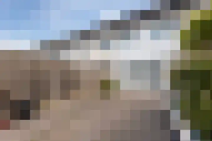 Vestdijkgaarde 43 Deventer thumbnail 16