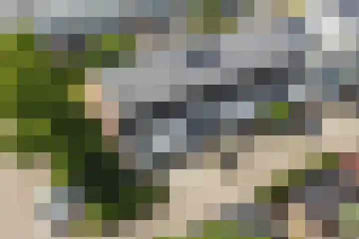 Vestdijkgaarde 43 Deventer foto 2