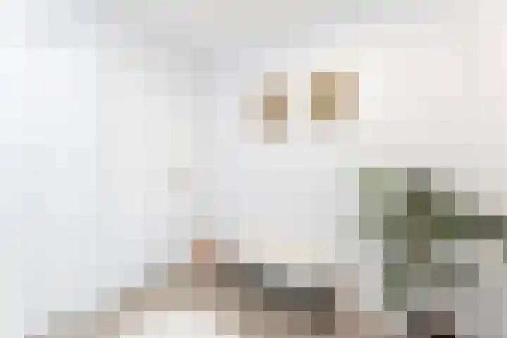 Vestdijkgaarde 43 Deventer thumbnail 32