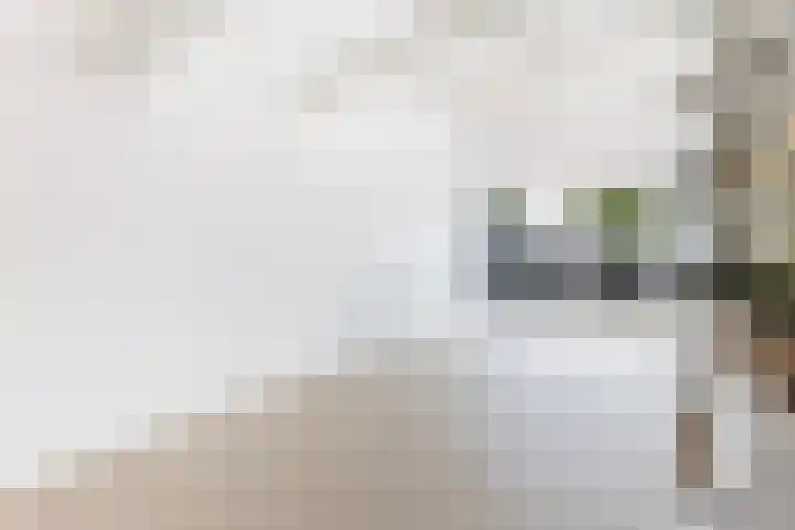 Vestdijkgaarde 43 Deventer thumbnail 37