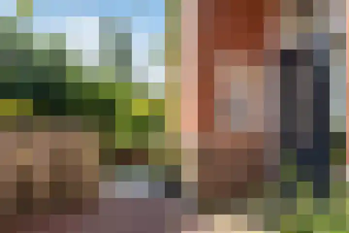 Vestdijkgaarde 43 Deventer thumbnail 6
