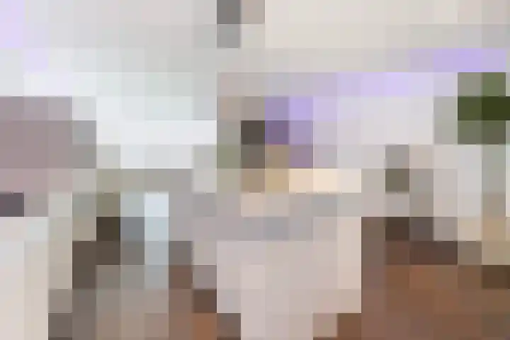 Vestdijkgaarde 43 Deventer thumbnail 9