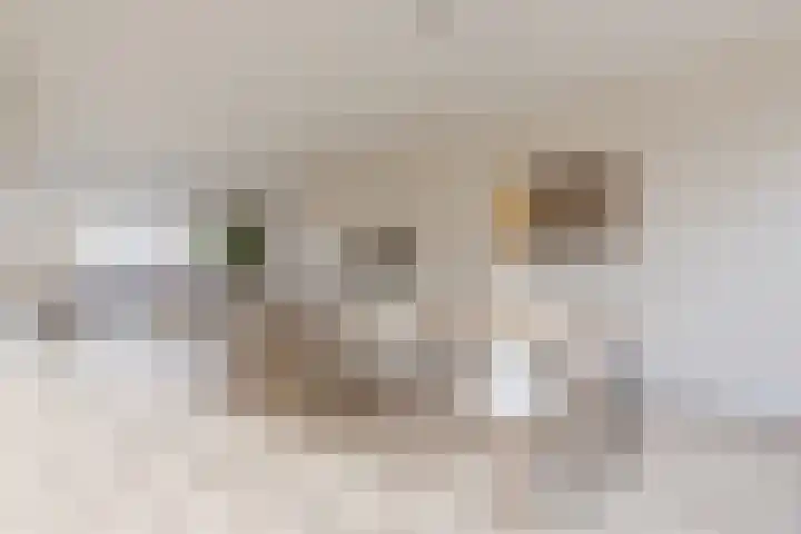 Vestesingel 35 Herten thumbnail 12