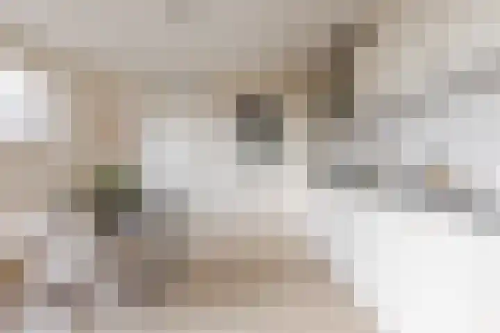 Vestesingel 35 Herten thumbnail 13