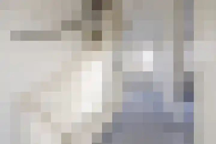 Vestesingel 35 Herten thumbnail 32