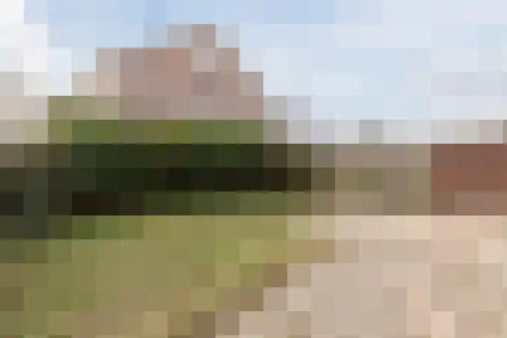 Vestesingel 35 Herten thumbnail 38