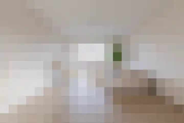 Vestesingel 35 Herten thumbnail 6