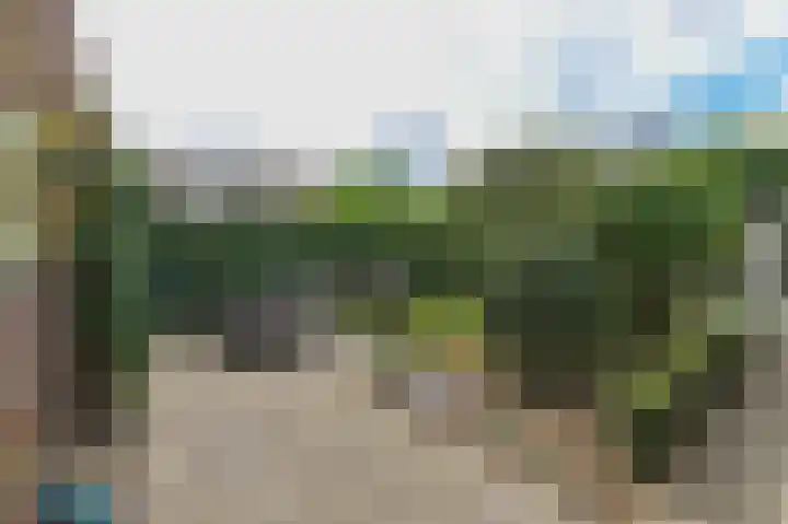 Vestesingel 55 Herten thumbnail 11