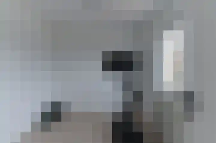 Vestesingel 55 Herten thumbnail 33