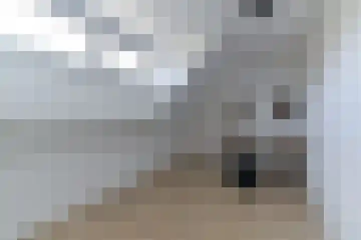 Vestesingel 55 Herten thumbnail 41