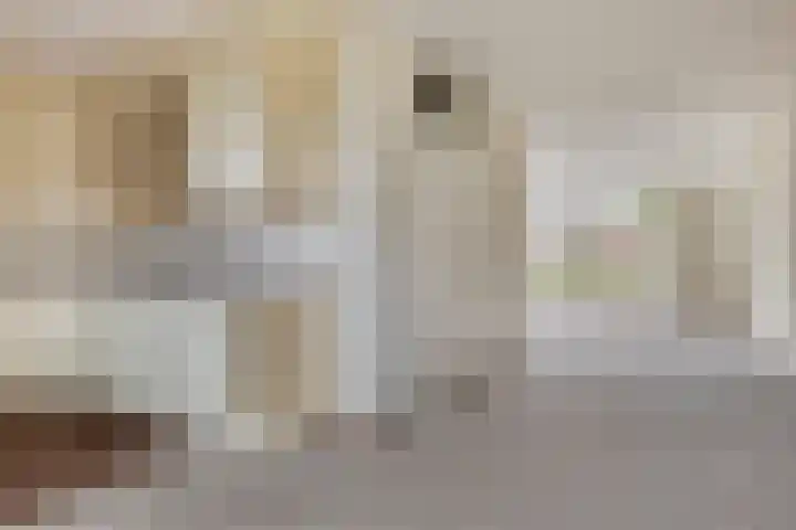 Vestesingel 84 Assen thumbnail 10