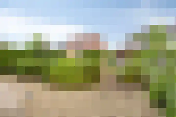 Vestesingel 84 Assen thumbnail 31