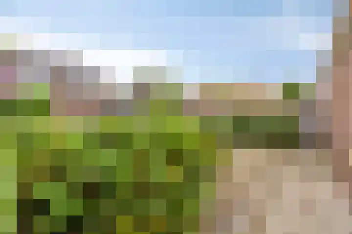 Vestesingel 84 Assen thumbnail 32