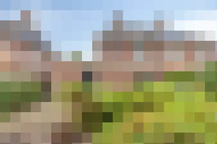 Vestesingel 84 Assen thumbnail 35