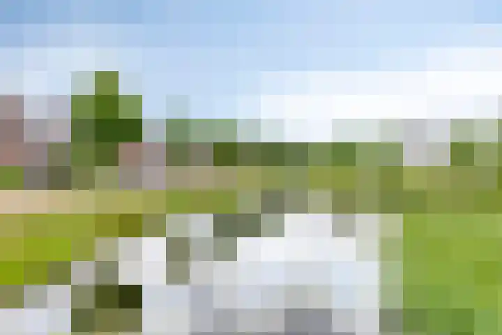 Vestesingel 84 Assen thumbnail 37