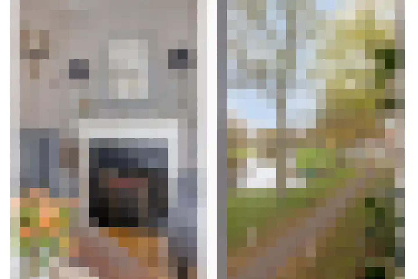 Vesting 8 Monnickendam thumbnail 18