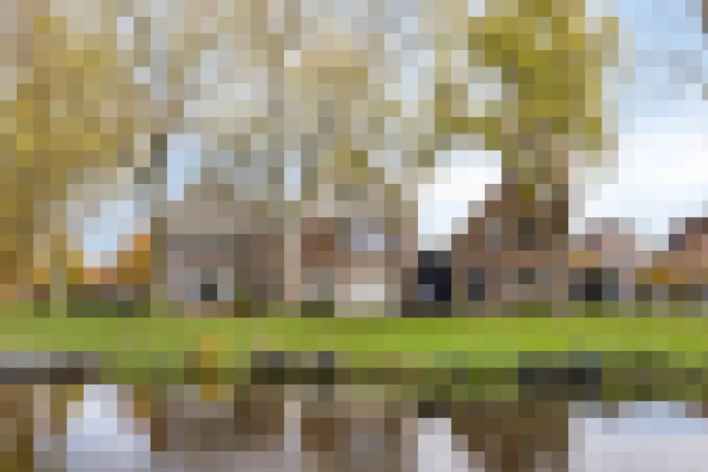 Vesting 8 Monnickendam thumbnail 6