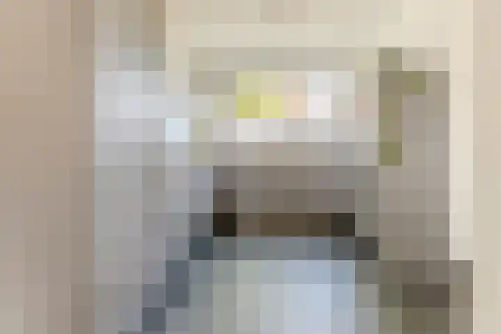 Vestingwal 49 Geldrop thumbnail 11