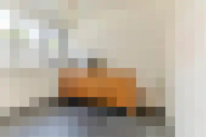 Vestingwal 49 Geldrop thumbnail 15