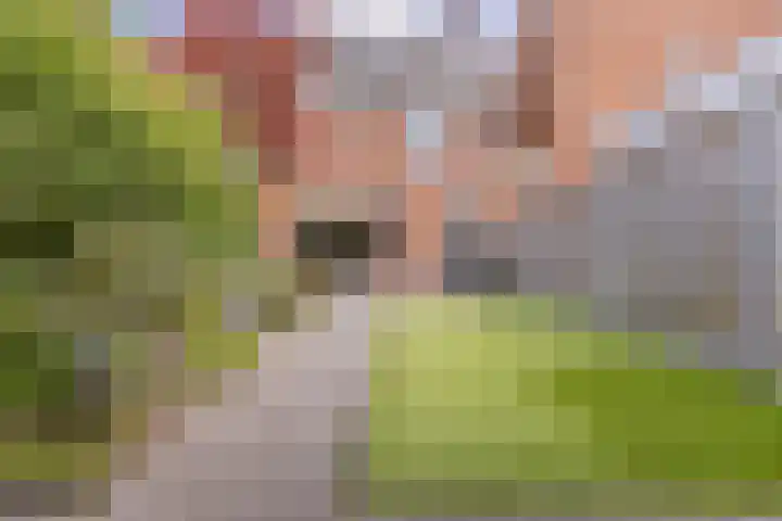 Vestingwal 49 Geldrop thumbnail 40