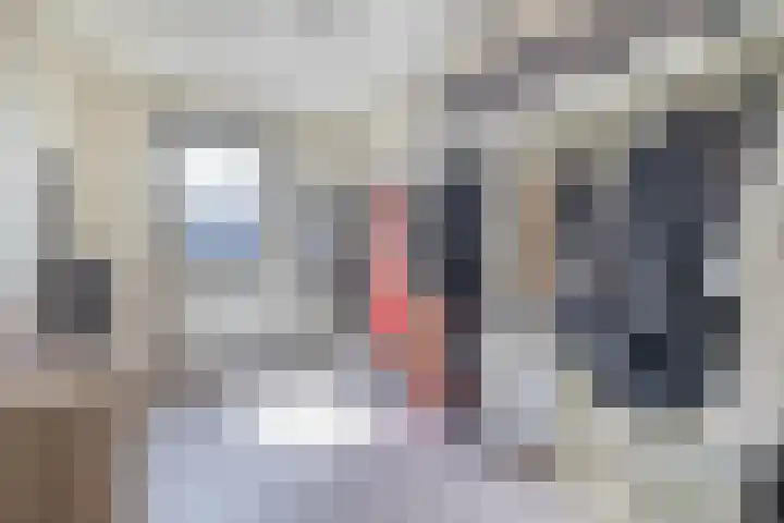 Vestingwal 49 Geldrop thumbnail 49