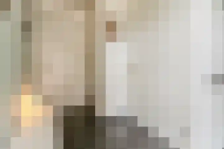 Vestingwal 49 Geldrop thumbnail 5