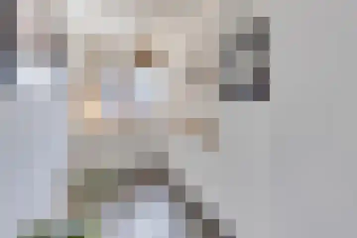 Vestkant 125 Breda thumbnail 11