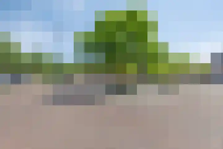 Vestkant 125 Breda thumbnail 31