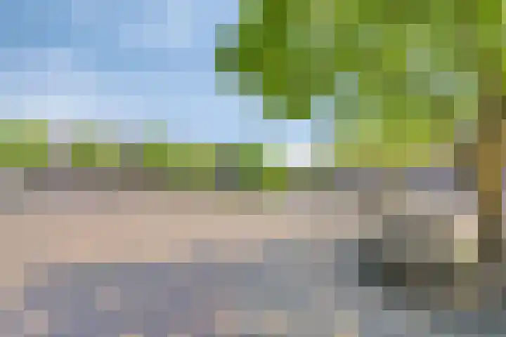 Vestkant 125 Breda thumbnail 32