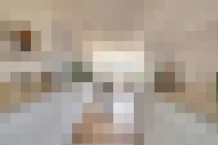 Vestpoort 41 Delft thumbnail 4