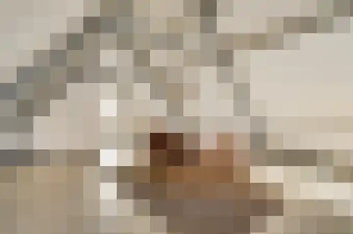 Veurtje 19 Neer thumbnail 16