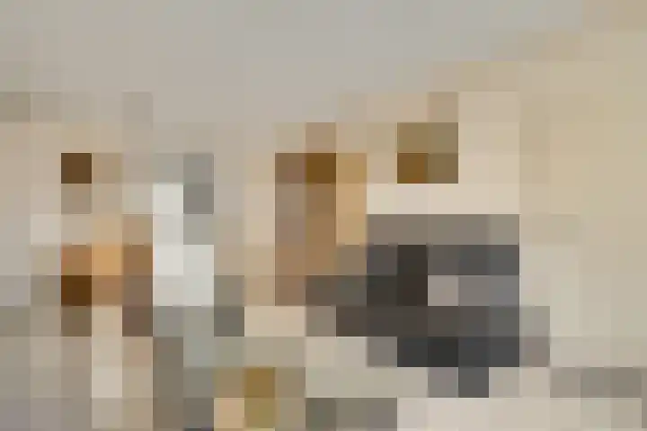 Veurtje 19 Neer thumbnail 23