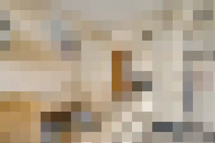 Veurtje 19 Neer thumbnail 28