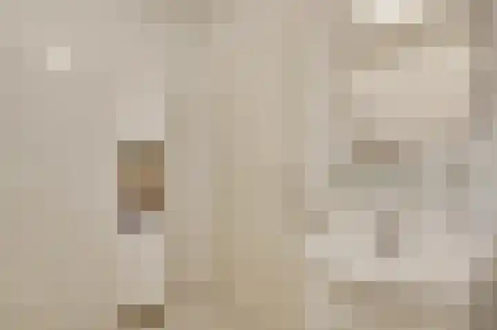 Veurtje 19 Neer thumbnail 32