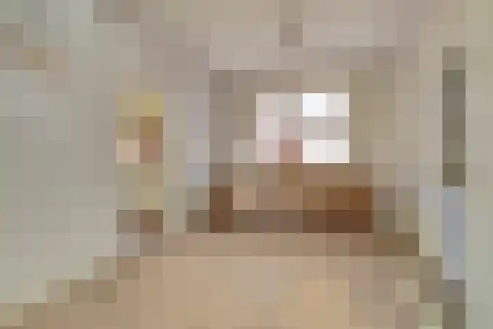 Vezelstraat 30 Oss thumbnail 13