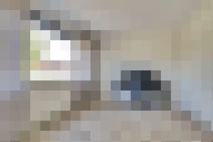 Vezelstraat 30 Oss thumbnail 20