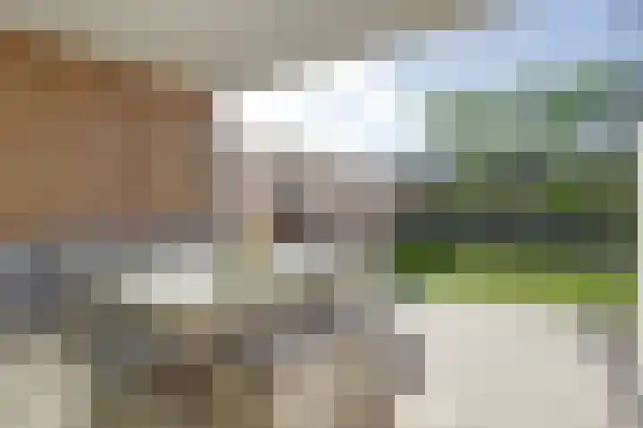 Vezelstraat 30 Oss thumbnail 26