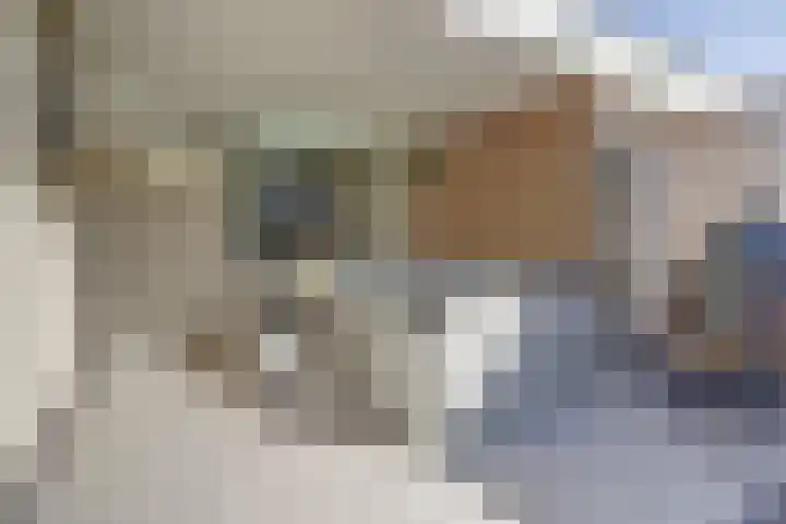 Vezelstraat 30 Oss thumbnail 27